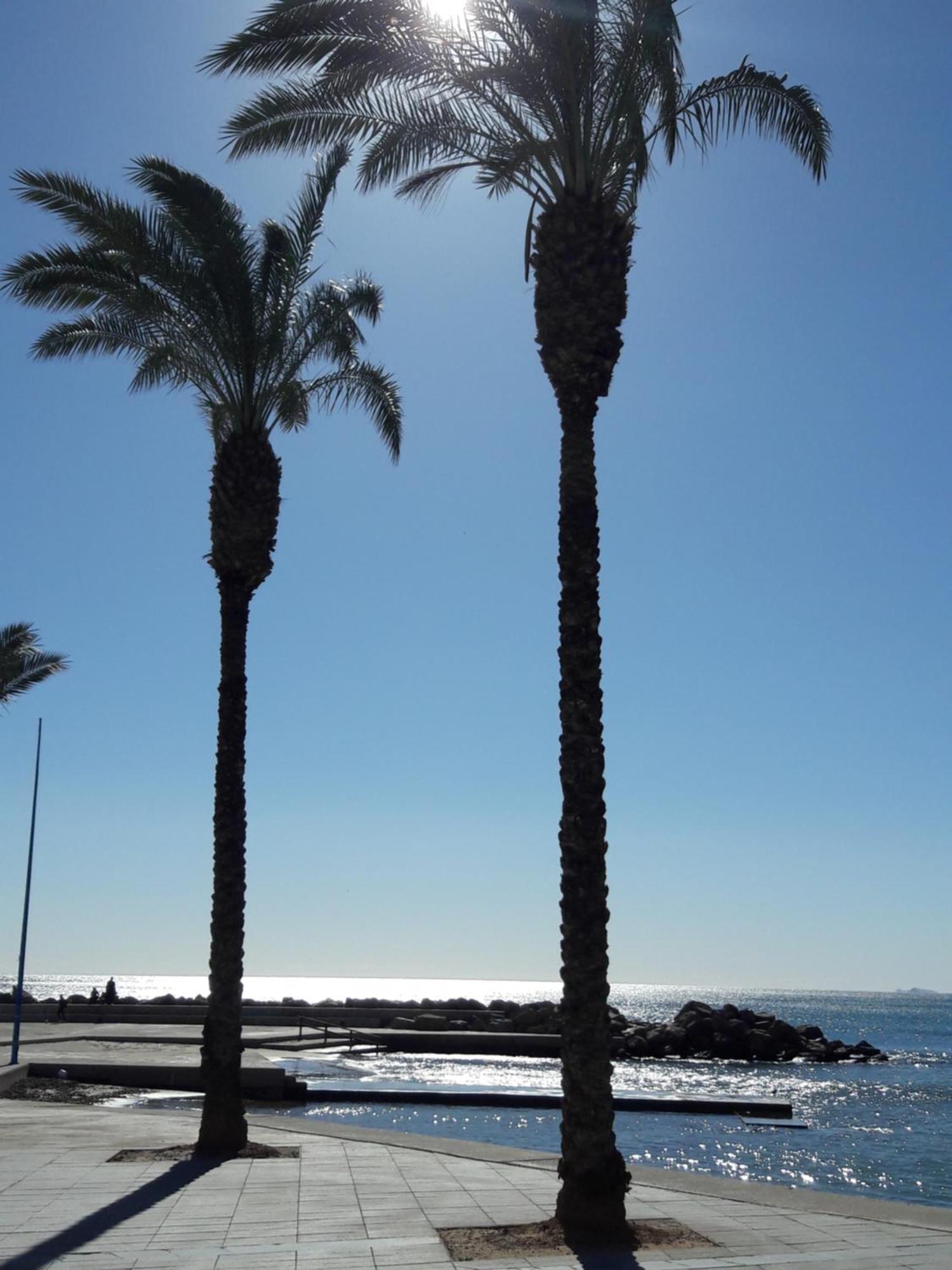 Carolinas Aptmt Orihuela Villacosta Dış mekan fotoğraf
